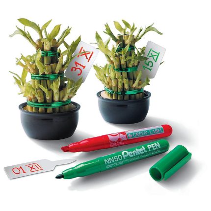 PENTEL permanent marker NN50